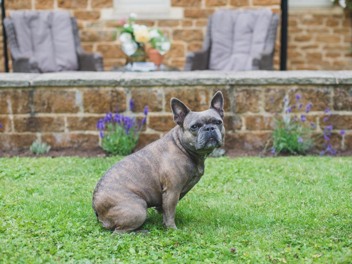 Climbing Rose Cottage - Dog Friendly - Peaceful Cotswold Cottage Adlestrop Bagian luar foto